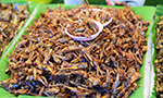 Fotografia mostrando uma bandeja de grilos fritos.