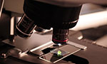 Foto de uma lâmina de microscópio. Não tem com saber o que está sendo observado.