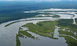 Vista aérea da Floresta Amazônica, perto de Manaus, capital do estado brasileiro do Amazonas.