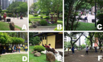 Fotomontagem com seis imagens de espaços em Curitiba.