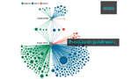 Imagem elaborada pelos autores, exibindo a rede de publicações que citam o Global Virome Project (GVP).