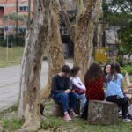 Fotografia de jovens adultos, sentados em rosa, em troncos cortados de árvore em um gramado.