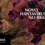 Colagem de uma fotografia de um morcego em um fundo preto e a silhueta do mapa do brasil com o título "novo hantavírus no Brasil". No canto inferior esquerdo, tem o nome "Memórias do Instituto Oswaldo Cruz"