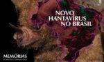 Colagem de uma fotografia de um morcego em um fundo preto e a silhueta do mapa do brasil com o título "novo hantavírus no Brasil". No canto inferior esquerdo, tem o nome "Memórias do Instituto Oswaldo Cruz"