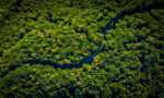 Fotografia da visão vertical de uma floresta, com a percepção do caminho traçado por um cano
