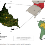 Imagem de um mapa sobre a distribuição espacial das pisciculturas estudadas no município de Grão-Pará (SC)