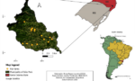 Imagem de um mapa sobre a distribuição espacial das pisciculturas estudadas no município de Grão-Pará (SC)