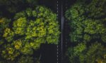 fotografia de árvores que cobrem uma estrada