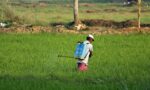 Fotografia de um trabalhador agrícola aplicando agrotóxicos no campo
